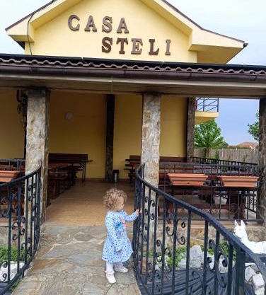 Pensiunea Casa Steli