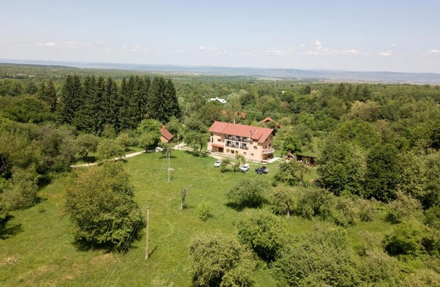 Pensiunea Elena