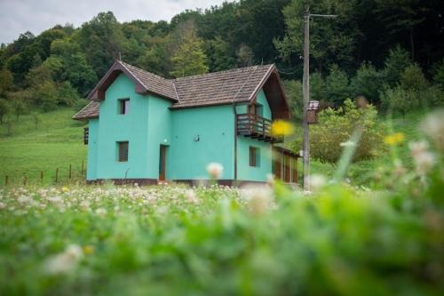 Pensiunea Green Roșia