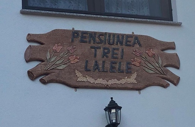 Pensiunea Trei Lalele
