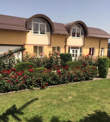 Pensiunea Zbor 1
