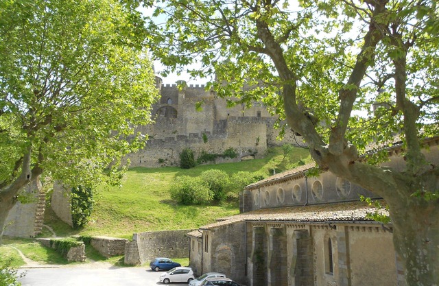 Penthouse Apartment looking out at Carcassonne Cite walls