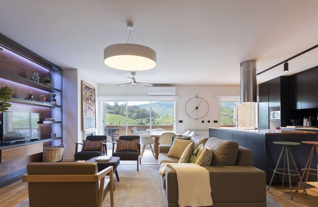 Penthouse Douro Valley w/ Terrace