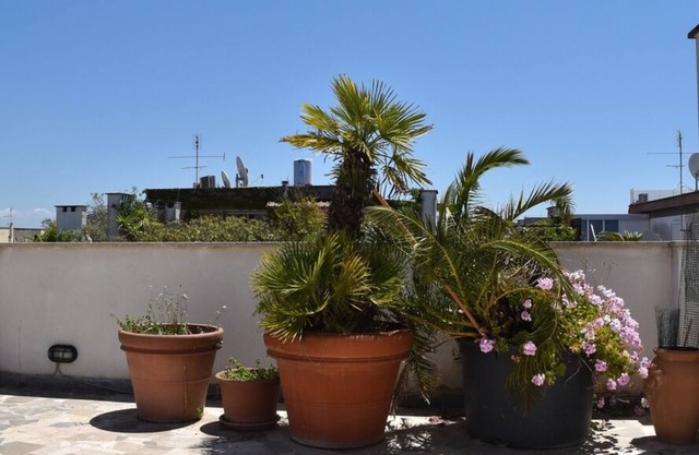Penthouse with panoramic terrace in Ostia