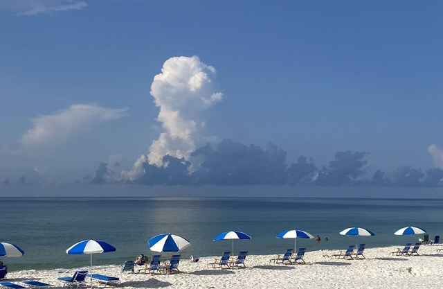 Perdido Skye Beach Front Paradise pool breathtaking views