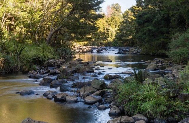 Perfect for a big group and family ! PUKETOTARA LODGE KERIKERI!