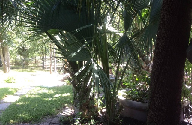 Perfect for work or fun! 1 NIGHT RENTAL AVAILABLE!