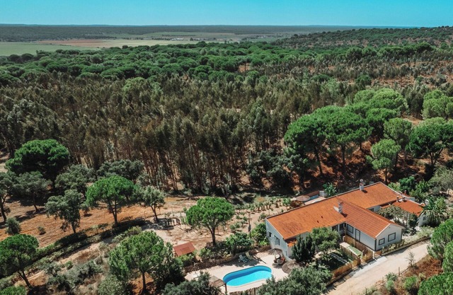 Perfect Retreat- Country House with Pool and Barbecue in the Montada Forest