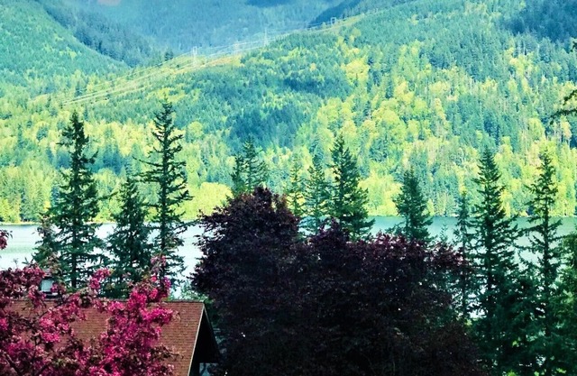 Perfect vacation with everything your family needs in a rental property.