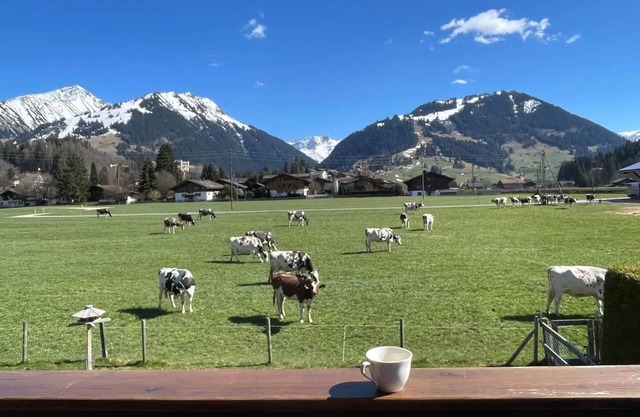 Perfectly located within walking distance to the picturesque promenade of Gstaad