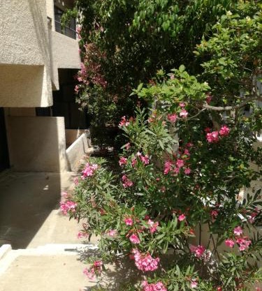 Pericles Studios