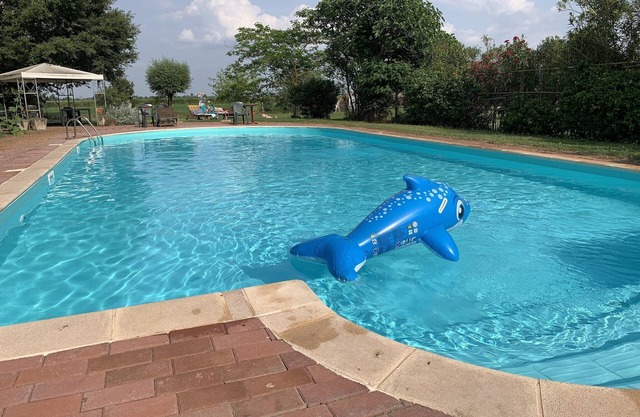 Pet-Friendly Nature Escape
