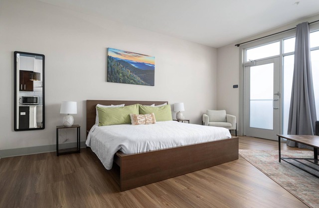 Pet Friendly ADA Studio King Suite | 102