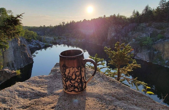 Pet Friendly Cottage with amenities your family won't want to miss!