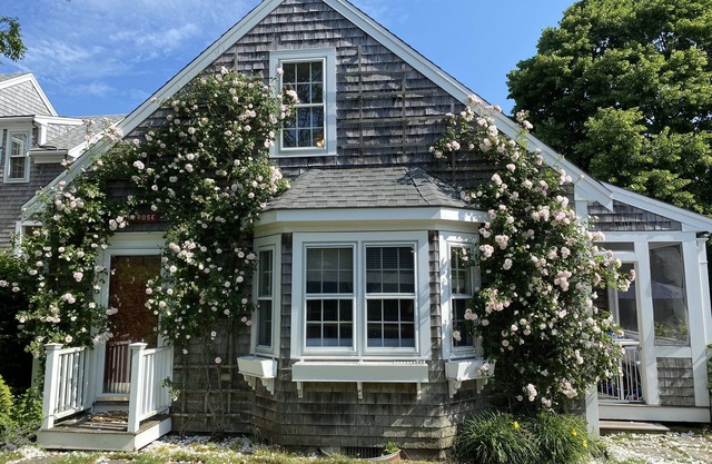 Pet friendly cottage in town on quiet paved street- AC, Wifi, Laundry, Parking