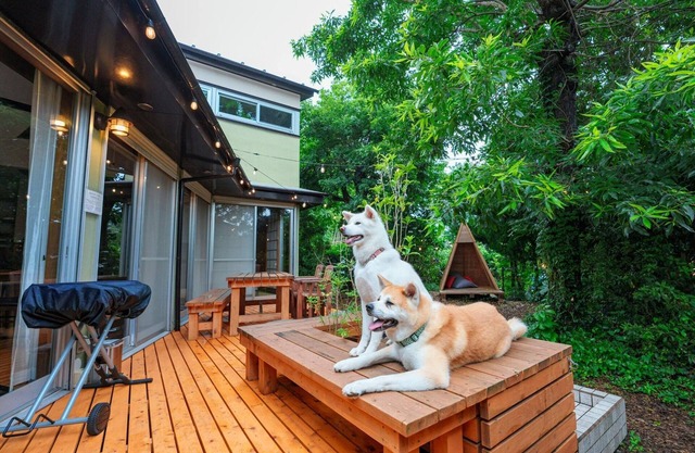 Pet friendly designers house/Ito Shizuoka