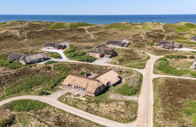 Pet friendly home in Ringkøbing
