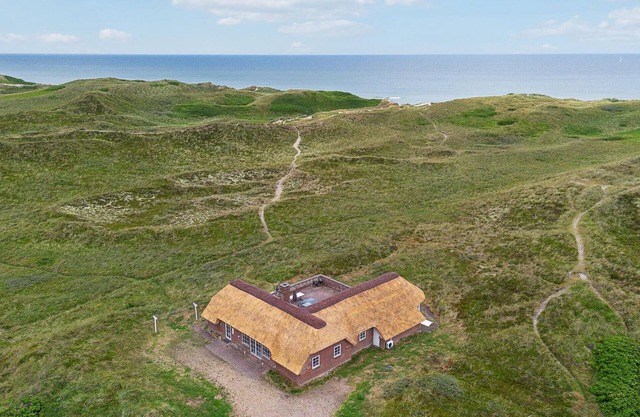 Pet friendly home in Ringkøbing