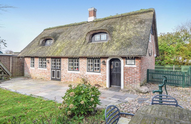 Pet friendly home in Fanø with kitchen