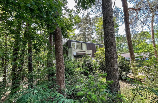 Pet friendly home in Meijel with sauna