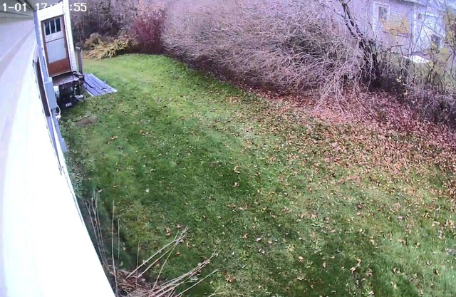 Pet friendly house available with large yard, lots of parking,Close to ammenties