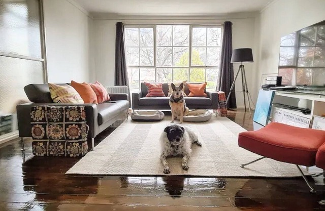 Pet Friendly Inner City Comfort. Coffee Food Shops a 2min Walk
