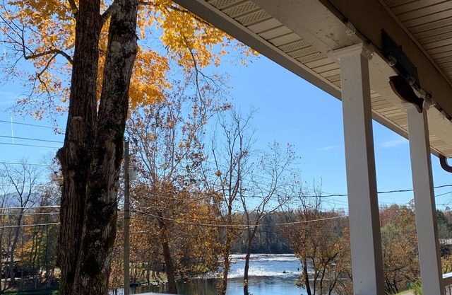 Pet friendly on the South Holston River!