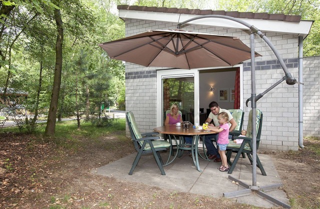 Pet-Friendly Retreat