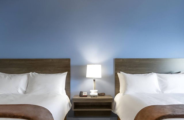 Pet Friendly Room with Full Kitchen Setup In-Room - Close to Major Attractions