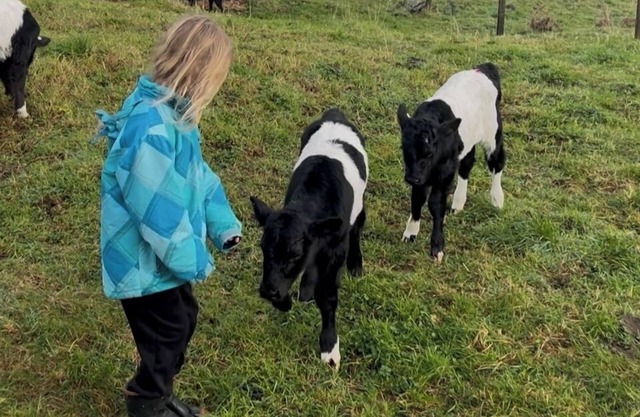 Pet Friendly Rural Paradise - Only Available until Mid November 2025