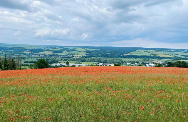 Pet-friendly vacation apartment in the Wesergergland, directly on the Weser cycle path