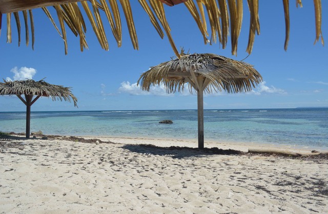 PETITE HERMINE VILLA 300 METERS FROM THE SEA 4 PEOPLE
