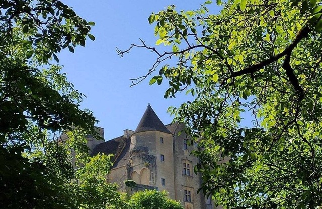 Petite Maison au Coeur du Périgord Noir