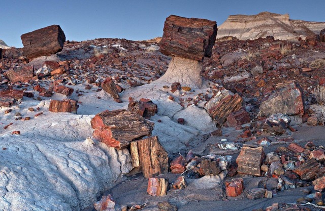 Petrified National Forest/Meteor Crater near Holbrook,AZ