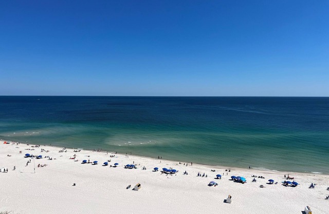 Phoenix X 3 BR, Gulf Front, August 160 to 190, Fill the gap prices
