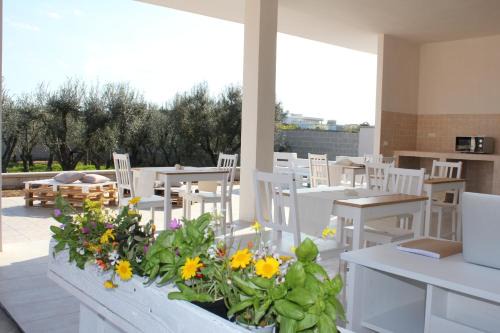 Piccolo Ulivo B&B Salento