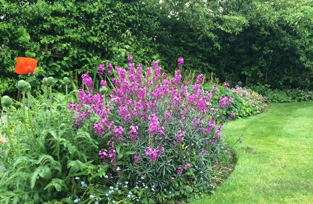 Pickmere Country House