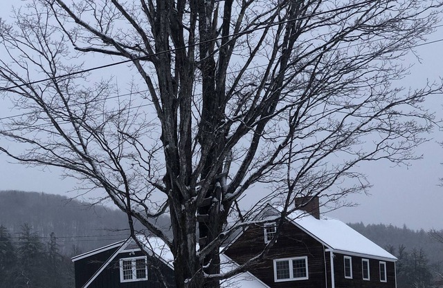 Picturesque VT Farmhouse on 12 Acres, near 4 major ski areas and VSF Horse Show