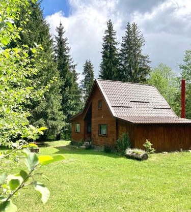 Pin chalet