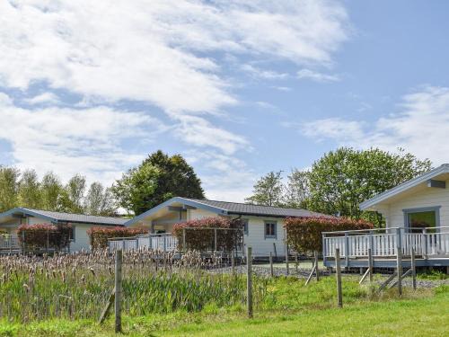 Pine Lodge - Uk30007