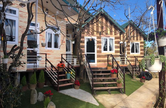 Pine Tree Homestay