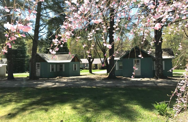 Pine Valley Cabins