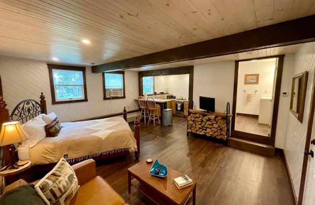 Pinecone - Apartment in Downtown Greenville