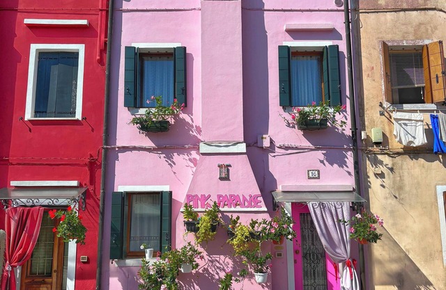 Pink Paradise