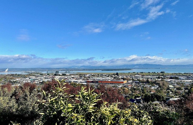 Pinnacle Apartment - Affordable Nelson Apartment with 2 Bedrooms & Views!