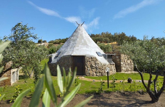 Pinnattu The Olive Trees