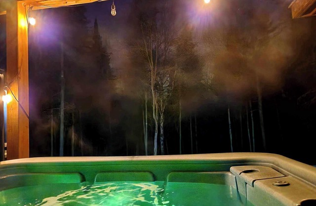 Piscine/spa/billard et Plein air