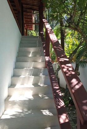 Pitanga Ilha Grande