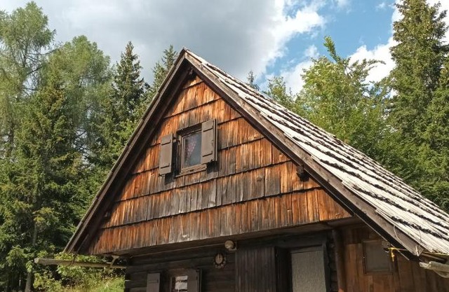 Planinska hišica pod macesni - Bohinj