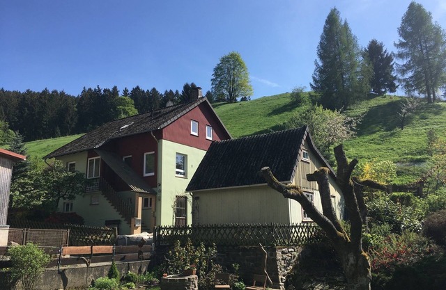 Platell Ferienhäuser Lerbach, Detached house for up to 8 people with fireplace